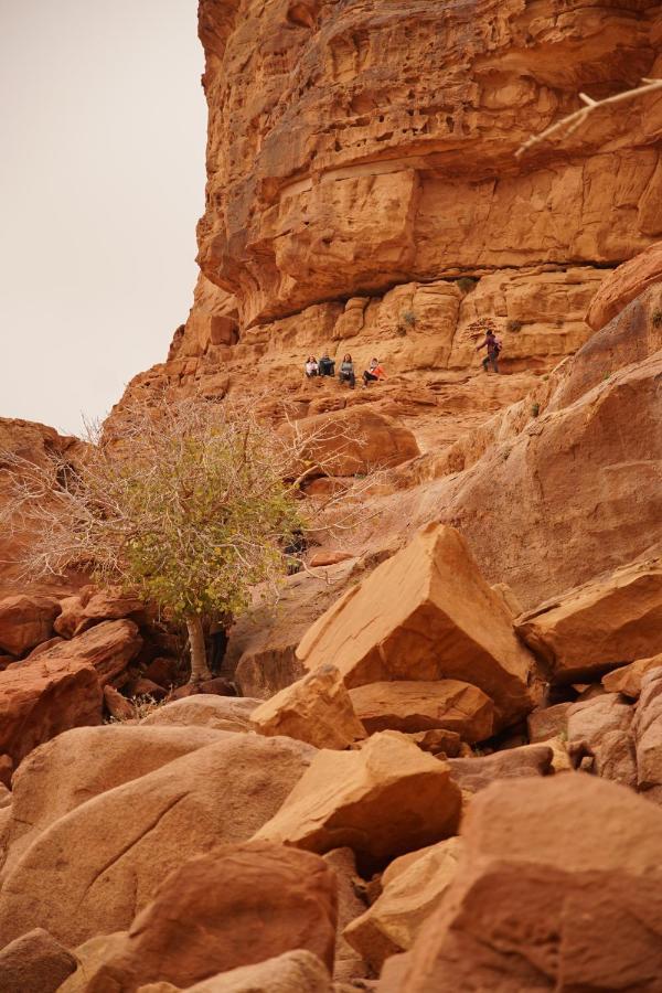 מלון וואדי רם Quite Bedouin Life מראה חיצוני תמונה